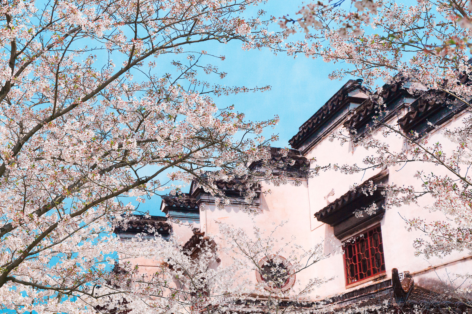 网信购彩welcome(中国游)官方网站