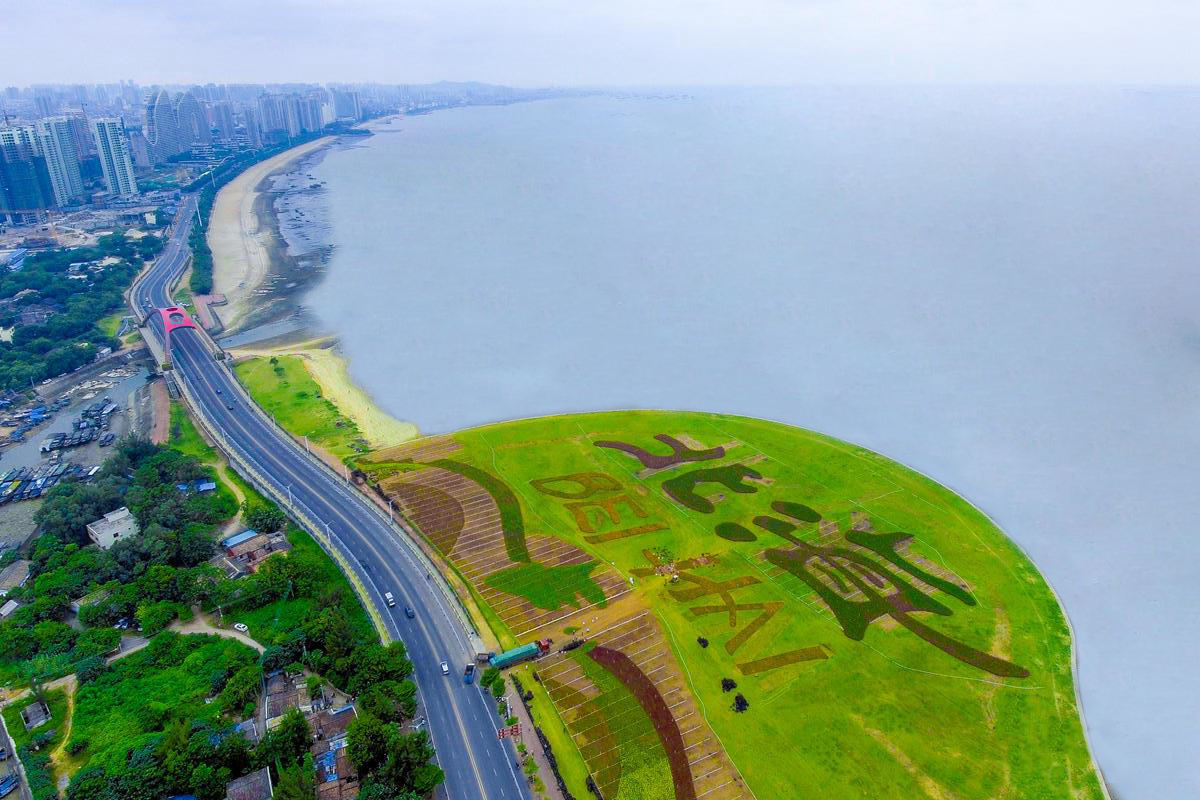 网信购彩welcome(中国游)官方网站