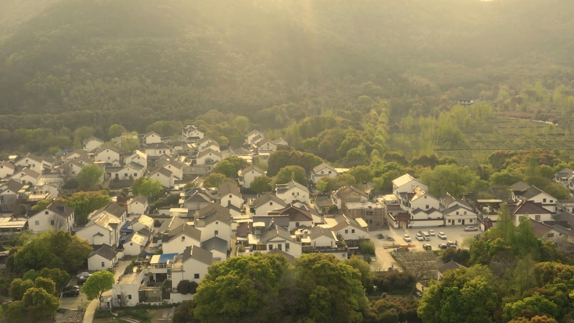 网信购彩welcome(中国游)官方网站